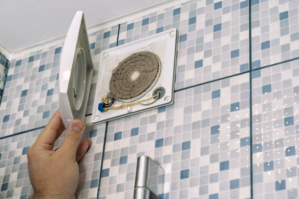 Best Air Duct Mold Removal  in Bonne Terre, MO