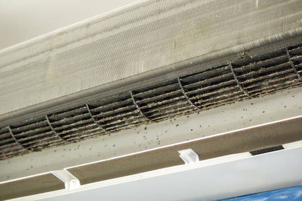 Best Residential Air Duct Cleaning  in Bonne Terre, MO